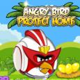 Angry Bird Protect Home